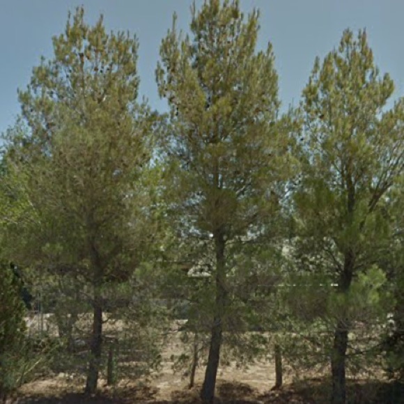 Meet your Posher, Jackie - Picture 1 of 1